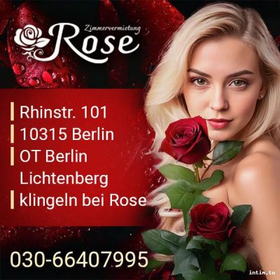 Rose, Berlin, blond
