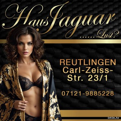 Haus Jaguar, Reutlingen, braun