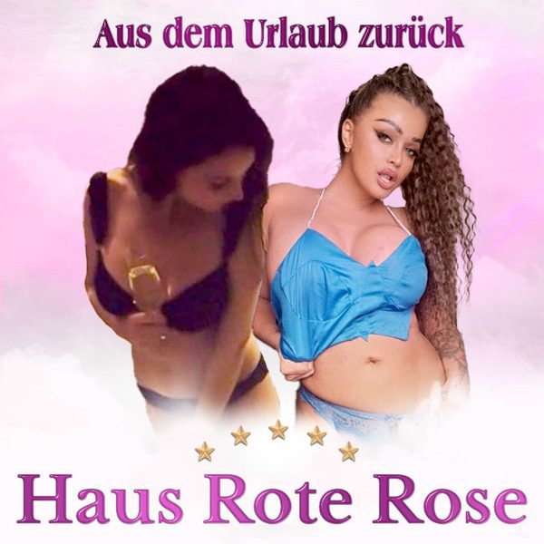 Haus Rote Rose, Messel, braun
